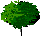 arbre.gif (1691 octets)